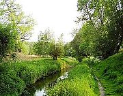 La Woluwe dans le parc Hof ter Musschen.