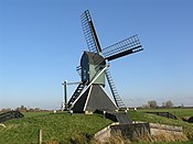 Spinnenkopmolen De Bird