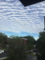 Altocumulus en bandes nettes au-dessus de Boucherville, Québec le 12 septembre 2020 à 16:30.