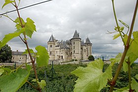 Image illustrative de l’article Saumur (AOC)