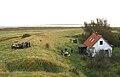 Voor natuuronderzoekers gebouwd huis met "vogelaars" daarnaast op de ringdijk