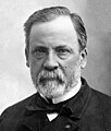 Louis Pasteur.