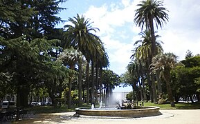 Palm Trees Park