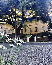 Foto tirada por Richard Lima, com carinho para Wander Luz.