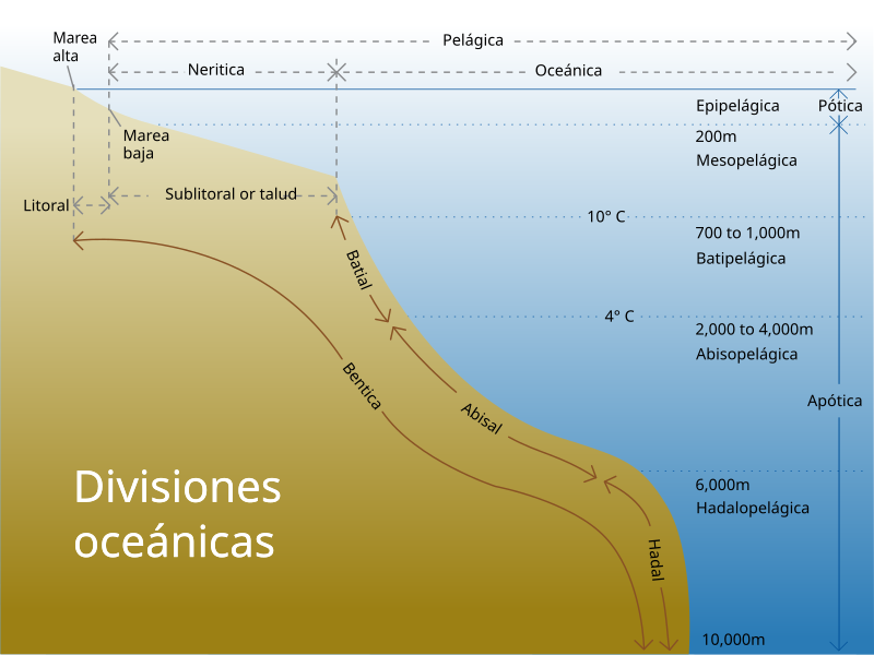 File:Oceanic divisions es.svg