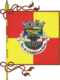 Flagge des Concelhos Condeixa-a-Nova