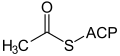 Deutsch: Struktur von Acetyl-ACP English: Structure of acetyl-ACP