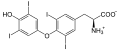 Deutsch: Struktur von L-Thyroxin English: Structure of L-thyroxine