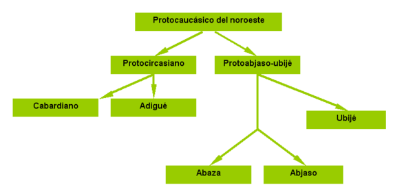 Relació entre les llengües caucàsiques del nord-oest