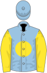 Light blue, yellow disc and sleeves