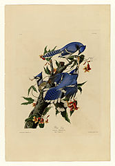 John James Audubon