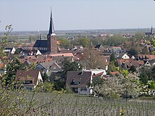 Deidesheim.JPG