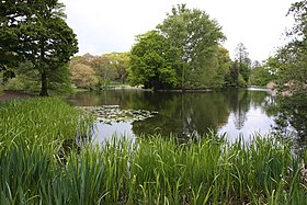 Image illustrative de l’article Jardins botaniques royaux de Kew