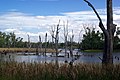 Lake Mulwala