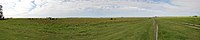 The extensive temperate prairies of the Pampas in the center of Argentina.