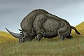 Elasmotherium