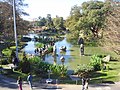 Jardín Japonés de Buenos Aires.