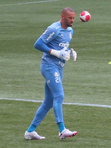 File:Weverton-palmeiras-santos-jan24.jpg