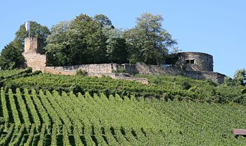 Burgruine Weibertreu von Osten