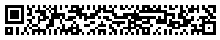 Rectangular Micro QR Code (rMQR Code) version R11x77