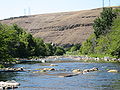 Article: Umatilla River