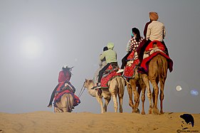 Camel rides in Thar desert