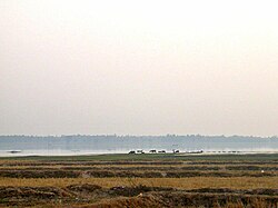 Landscape of the Khorat Plateau