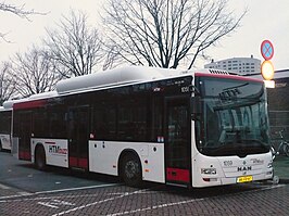 Bus van HTMbuzz in Den Haag en omgeving.