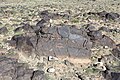 * Nomination Khavtsgait Petroglyphs, Gobi Desert, Mongolia. The petroglyph depicts an ibex. --Bgag 04:19, 9 November 2024 (UTC) * Promotion  Support Good quality. --Poco a poco 10:09, 9 November 2024 (UTC)