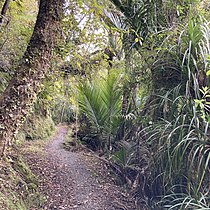 Point Elizabeth Walkway