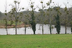 Skyline of Muzillac