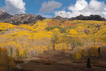 Autumn along the West Elk Loop Scenic and Historic Byway