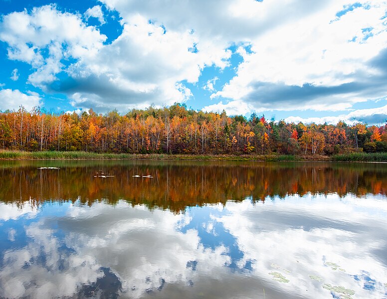 File:Forks of Credit Provincial Park，Canada (53267092933).jpg