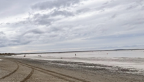 Kvichak Bay at low tide, with fishermen in the distance. Fishing is a major industry in the Bristol Bay Borough.