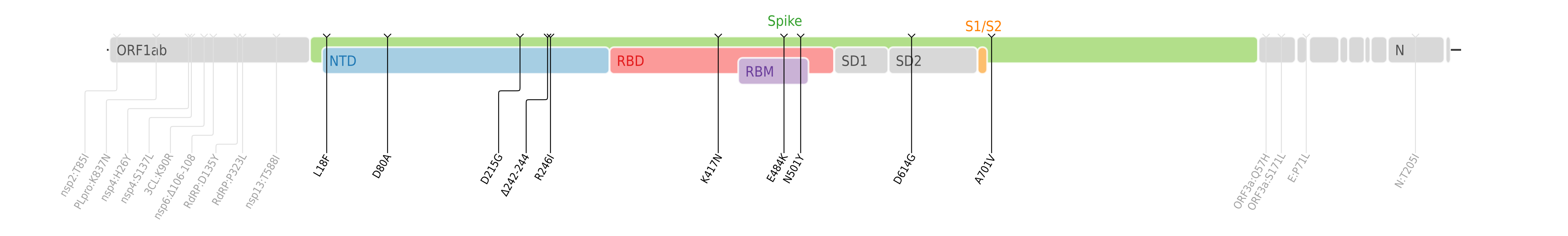 スパイクタンパク質に焦点を当てたSARS-CoV-2のゲノムマップ上にプロットされたベータ株のアミノ酸変異。