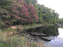 Beyer's Pond, in the Big Creek Reservation, Middleburg Heights