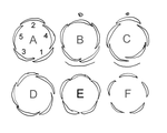 A quincunciaal, B cochleiar opstijgend, C cochleair afdalend, D contort, E vavlaat, F open.