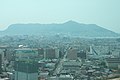 Central Hakodate View from Goryokaku Tower 五稜郭タワーから眺めた函館市街