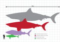 15:16, 31 martxoa 2023 bertsioaren iruditxoa