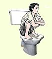 3 Dual-use (Anglo-Indian) Squat Toilet - Shows a unique solution to the problem of multicultural preferences. Also shows what the squatting posture looks like.