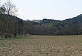 Blick auf die Ruine von der Straße Großau-Schwarzensee