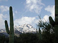 Imagine 10 - Deşertul Sonora -- Muntele Wasson, cel mai înalt vârf montan din Saguaro National Park, aflat în apropierea oraşului Tucson, Arizona