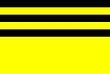 Vlag