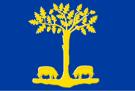 ? Vlag van Lommel