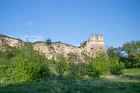 Ruiny zamku Zbaraskich w Tokach