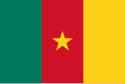 Flag of Cameroon