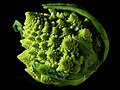 Romanesco broccoli