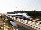 45. KW Der TGV POS (Paris–Ostfrankreich–Süddeutschland) bei einer Testfahrt auf der Schnellfahrstrecke Nürnberg–Ingolstadt (Juli 2006).