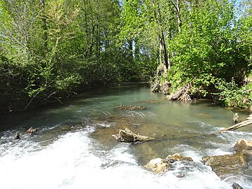 Le Gers à Panassac.