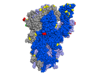 Spike protein with mutations highlighted, looking at the side of the protein